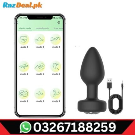 lovense-hush-2-vibrating-butt-plug-in-pakistan